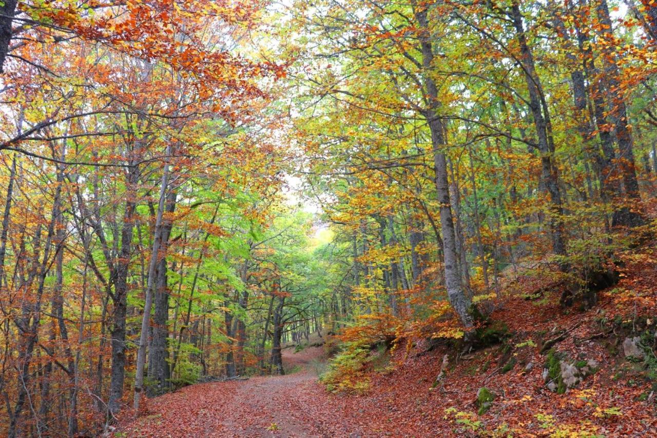 El Rincon De Golobar En Branosera Buitenkant foto